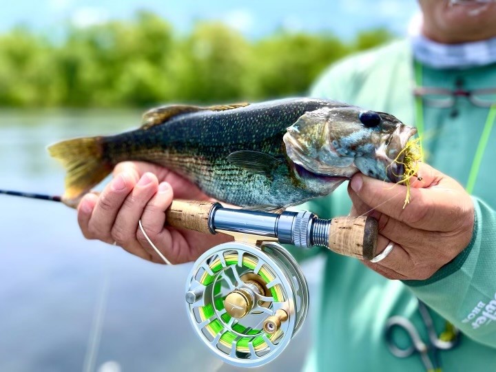 Fishing For The Unique Tallapoosa Redeye Bass Outdoor Travel Writer