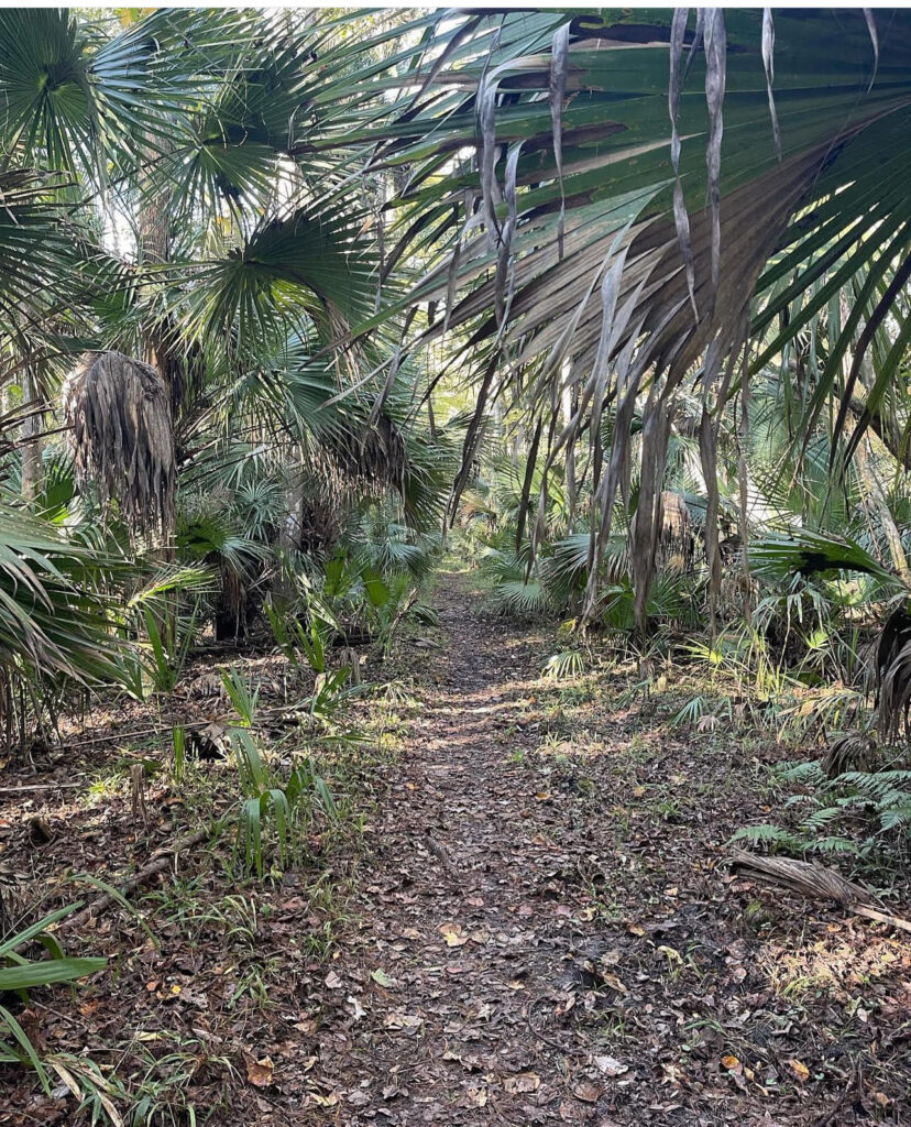 How To Get Discounted Annual Passes For Florida State Parks Outdoor Travel Writer